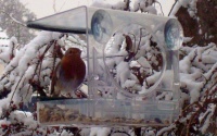 Bolms&ouml; Birdfeeder